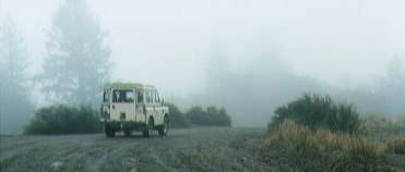 SWB in the fog.